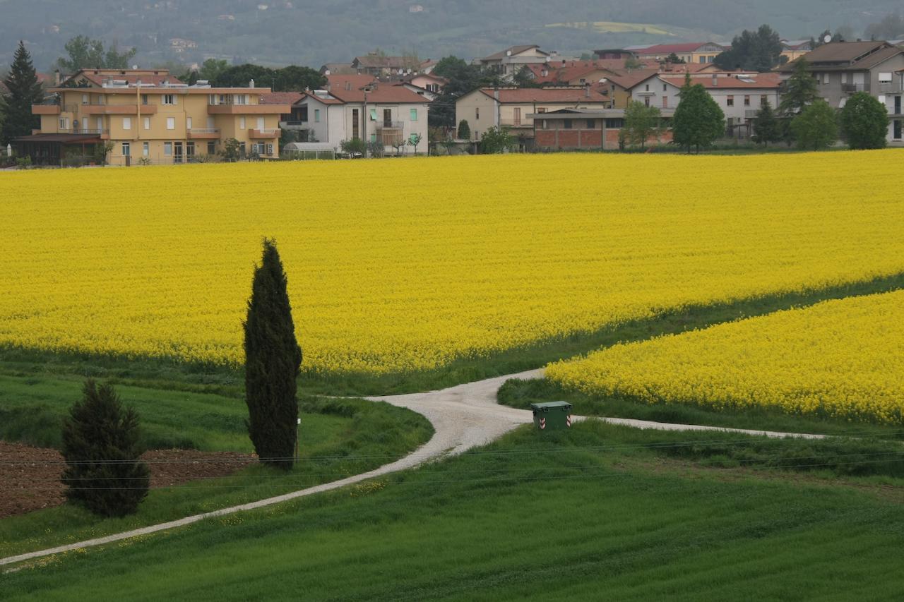 SantʼAngelo in Vado Palazzo Santinelli Bed & Breakfast エクステリア 写真